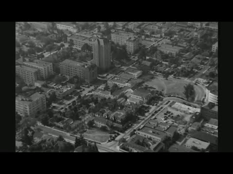 Shaun Hooper - Cold Coffee