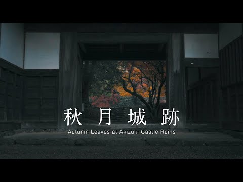 紅葉の秋月城跡 | Autumn Leaves at Akizuki Castle Ruins