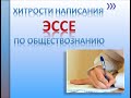 Эссе по Обществознанию. Хитрости написания. 