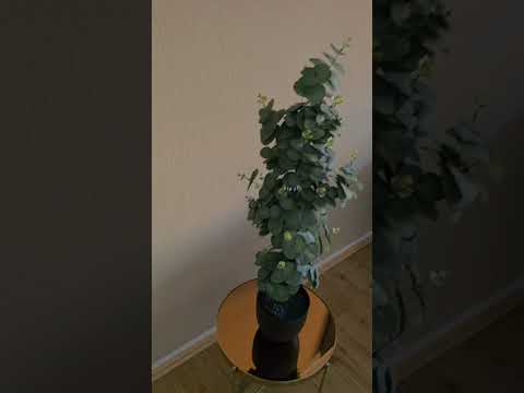 Ferienwohnung Unterkunft in zentralster Lage in Alsfeld - direkt auf dem Marktplatz! Gemütlich, voll ausgestattet...