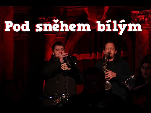 08 Pod sněhem bílým - Žihelský sbor (cover by Jaroslav Uhlíř a Zdeněk Svěrák)