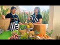 AMAZING COOKING WILD  Vegetables of Arunachal Pradesh🍃 Northeast India 🇮🇳 | Malachi’s Fo