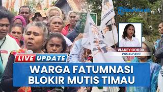 Tolak Perubahan Status Taman Mutis, Masyarakat Adat Fatumnasi Gelar Aksi Damai di Kantor BKSDA