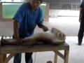 Amazing Monkey Body Building Doing Exercise Must Watch