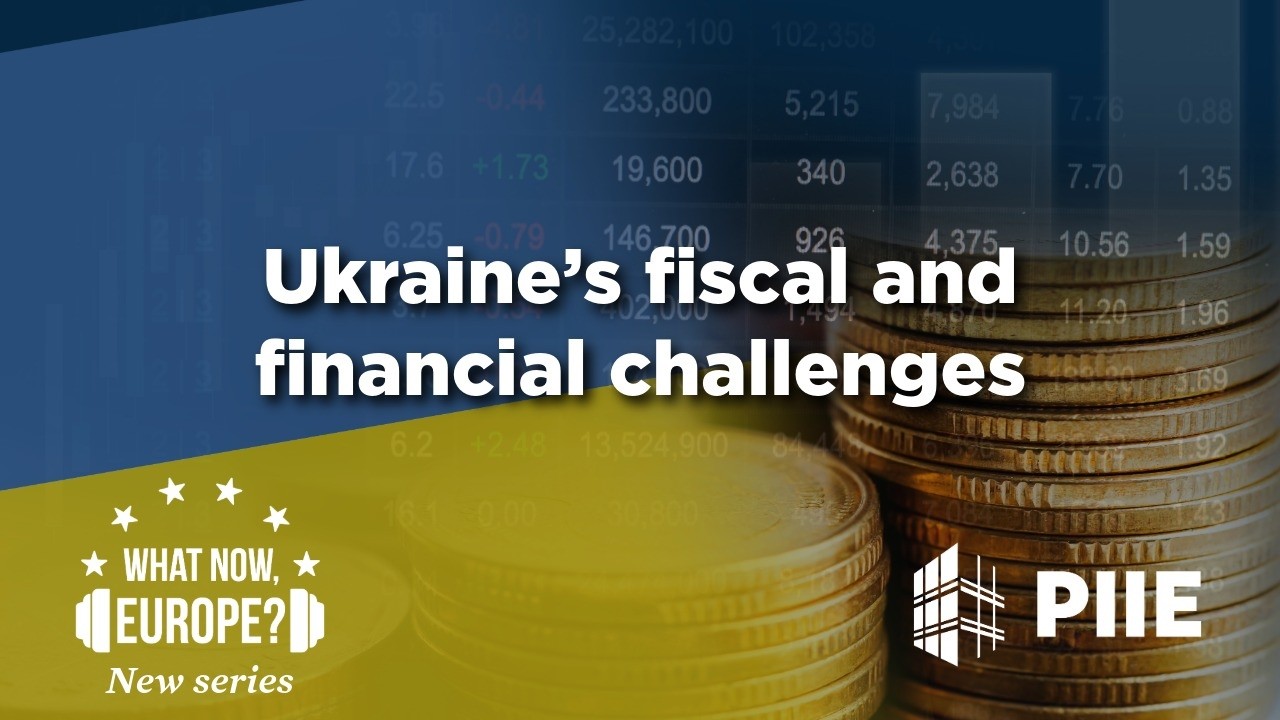 Ukraine's fiscal and financial challenges