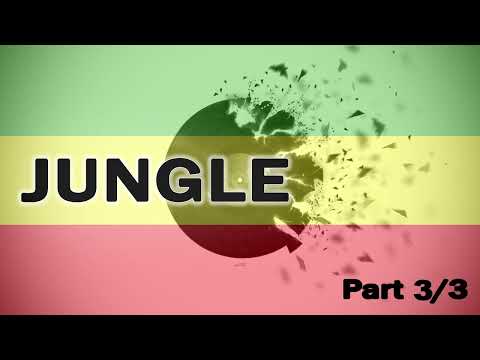 Mix #8 Jungle 3/3 - HRG / JunJan