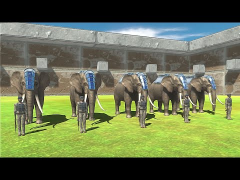 5X COMMANDO BO & ROCKET ELLIE VS ALL FACTION - Animal Revolt Battle Simulator
