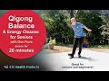 Qigong Balance & Energy Cleanse for Seniors - Don Fiore