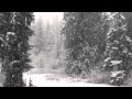 Wardruna--Jara/Algir-Stien Klarnar 