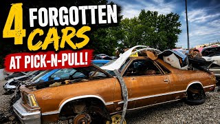 4 Forgotten Cars I Found at Pick-n-Pull!