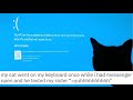 Cats On Keyboards Creating Chaos