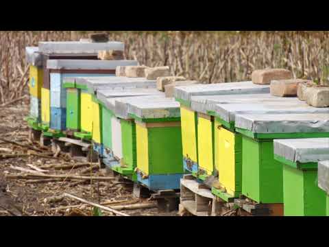 Reč struke ep. 254 11.06.2019. NAJAVA