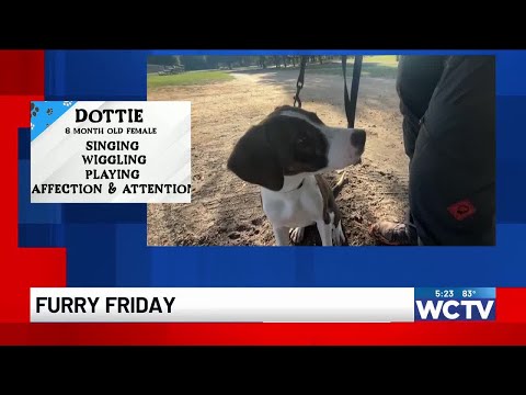 Furry Friday: Dottie - YouTube