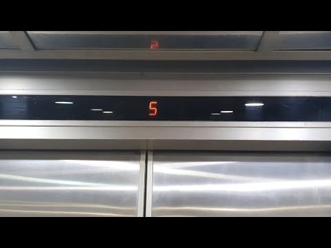 Well Maintained OTIS Spec 5 at TPI Building