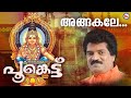 അങ്ങകലെ മലമേലെ Ayyappa Devotional Song Malayalam Mg Sreekumar