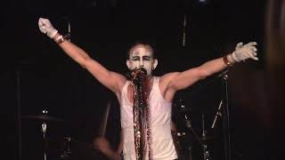 The Adicts - Fuck It Up + Just Like Me (Zikenstock Festival 2017 France, Cateau-Cambrésis) [HD]