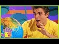 Planet Earth Hi 5 Season 11 Episode 25 Kids Shows