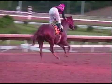 Clásico del Caribe 2004 - Spago (PAN)