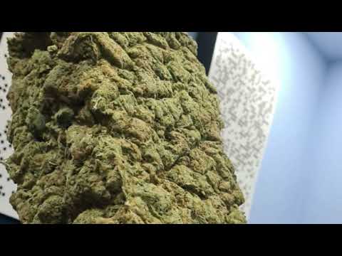 FREE LUCIO101 X NIZI19 X OMAR101 X KARAMEL19 TYPE BEAT PROD. BY MIDDI BEATZ