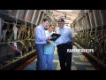 Semex Making Genetic Solutions For Life