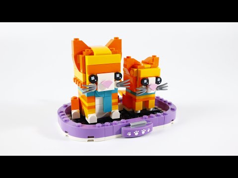 Vidéo LEGO BrickHeadz 40480 : Le chat roux tigré