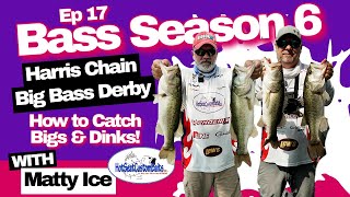 Harris Chain Big Bass Tournament How to Catch Big Bass & Dinks