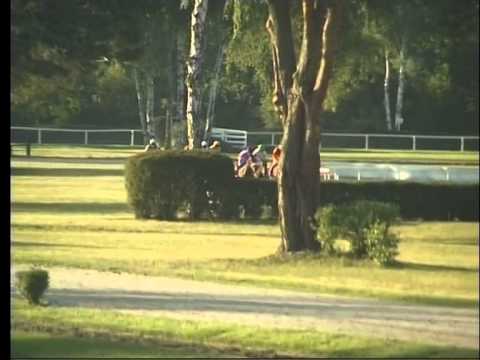 LL, 6. 7. 2015, 6. dostih - Memoriál Evy Palyzové - CK MATRIN TOUR