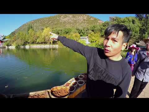 คลิกเพื่อดูคลิปวิดีโอ