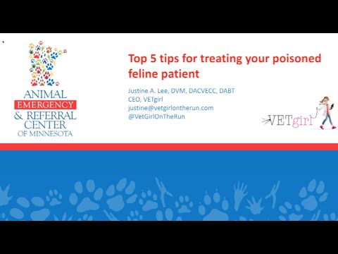 Top 5 Tips for Treating Your Poisoned Feline Patient by Justine Lee, DVM, DABT, DACVECC