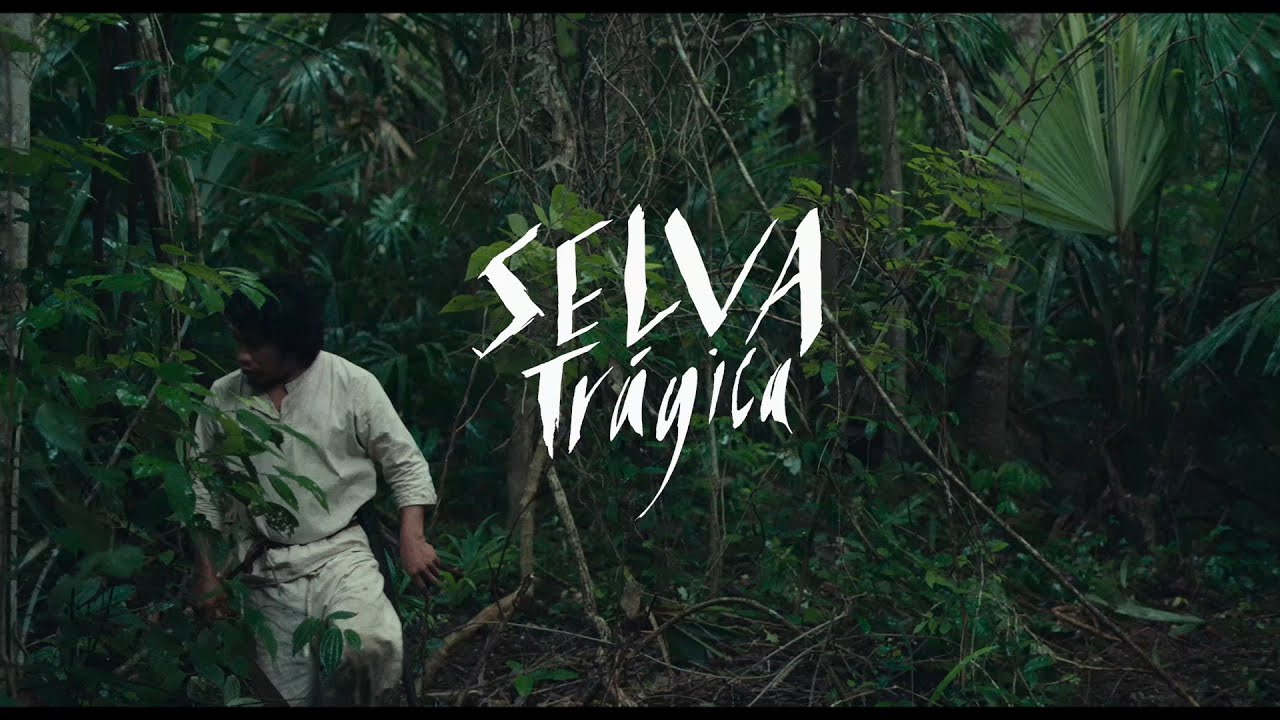 #BIFF2020 World Cinema - Tragic Jungle / 월드 시네마 - 비탄의 정글