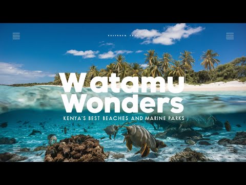 Watamu Wonders Kenya’s Best Beaches and Marine Parks