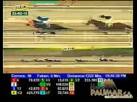 LA RINCONADA 10 CARRERA, DOMINGO 28 DE FEBRERO DEL 2016