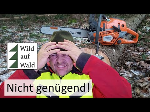 🌲Prüfung nicht bestanden: Baumfällung #wildaufwald
