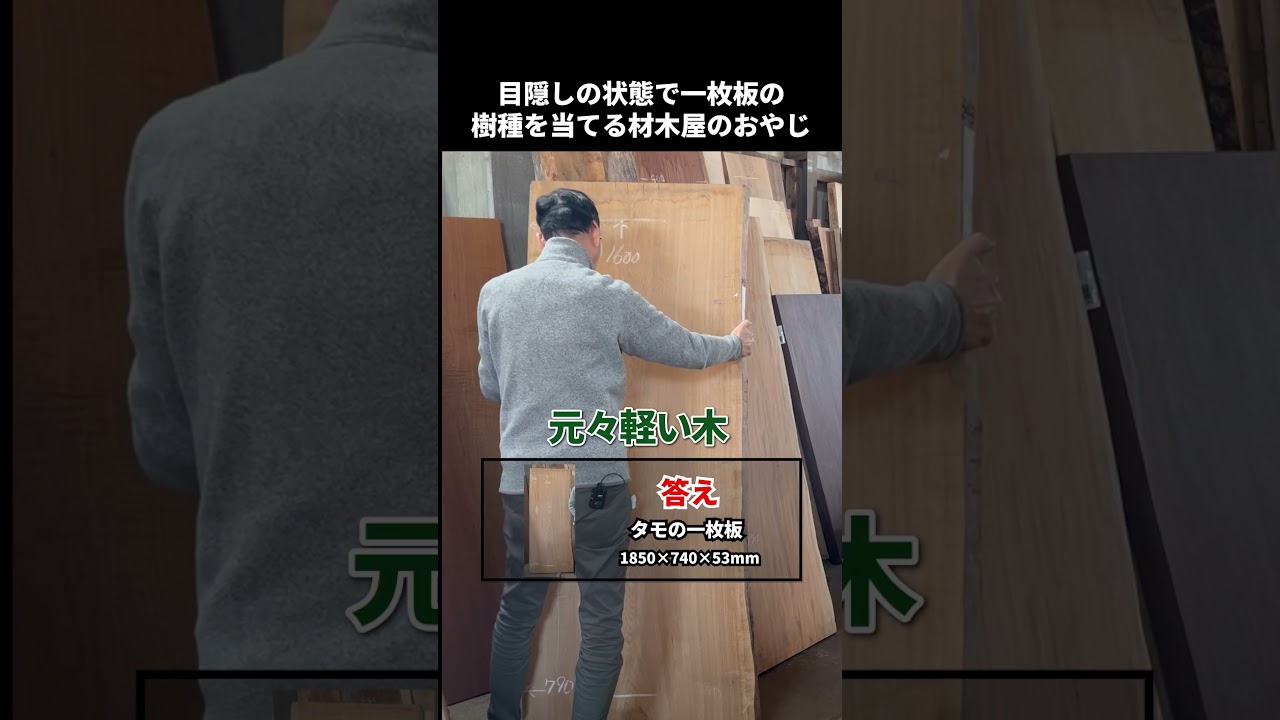 目隠しで樹種を当てる材木屋のおやじ｜タモ【岡崎製材】 #shorts