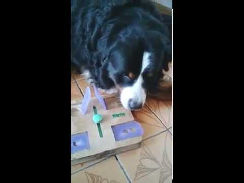 Interaktivní hra a Adonis