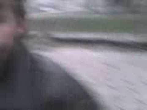 Boniek fikoł Północna