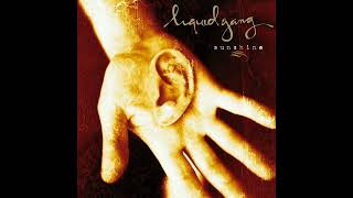 Liquid Gang - I Applaud You (HQ)