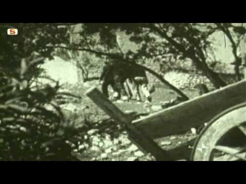 Sardegna venduta. parte 1