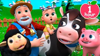 Download lagu 🚜🐑🐖🐓Old MacDonald Had a Farm | Newborn Baby Songs & Nursery Rhymes mp3