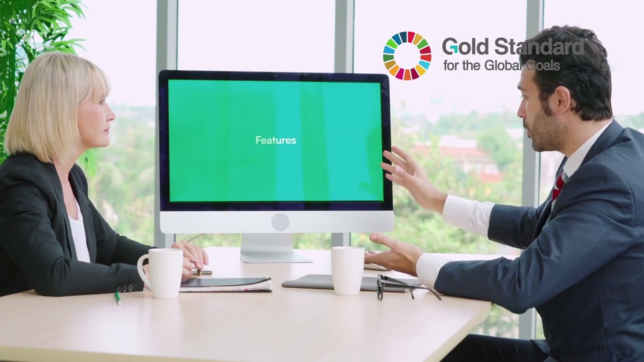 GS   SDG IMPACT TOOL