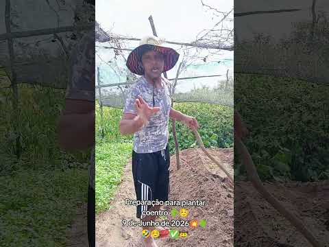 Preparação para plantar coentro aqui no sítio cacimbão município de Cubati Paraíba 🌵#agricultura