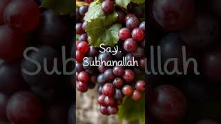Download lagu 1: SUBHANALLAH.........#DHIKR #tasbih #subhanallah #alhamdulillah #islamic #allah #allahforgiveness mp3 Download lagu 1: SUBHANALLAH.........#DHIKR #tasbih #subhanallah #alhamdulillah #islamic #allah #allahforgiveness mp3