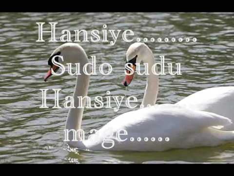Iraj-Hansiye Lyrics ( ft.Hiran)