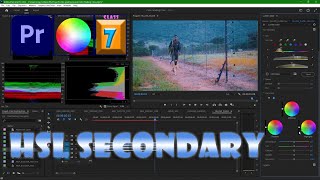 HSL Secondary | Class 7 | Full Detail | Premeire Pro | Learn Adobe