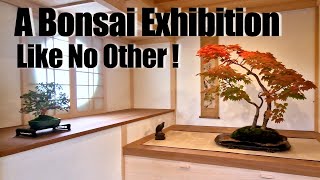 Download lagu Kei Bonsai Kai TEN (2025) – The Art of Bonsai | Master Danny Use Exhibition mp3
