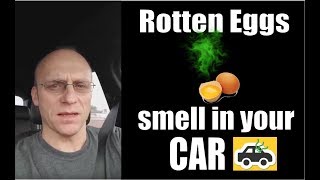 Rotten Eggs Smell in your Car 😝