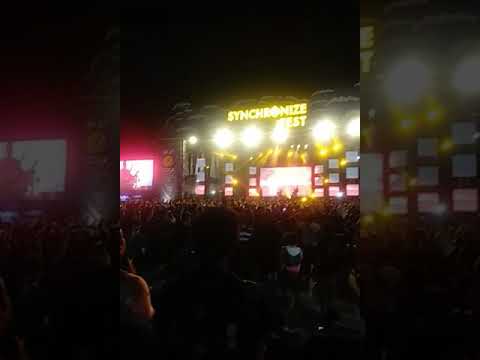 Seringai live Synchronizefest 2019