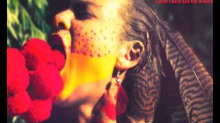 08. Alegre Noche Paloma del Cerro