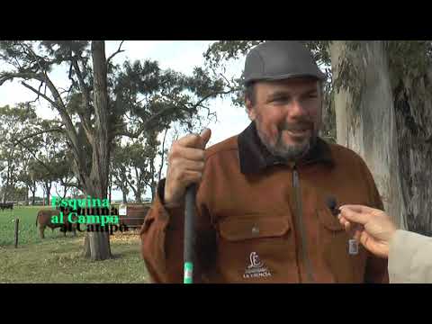 Jornada Ganadera en la Cabaña La Esencia