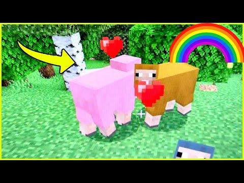 Rare Baby Rainbow Sheep?! Minecraft Madness!